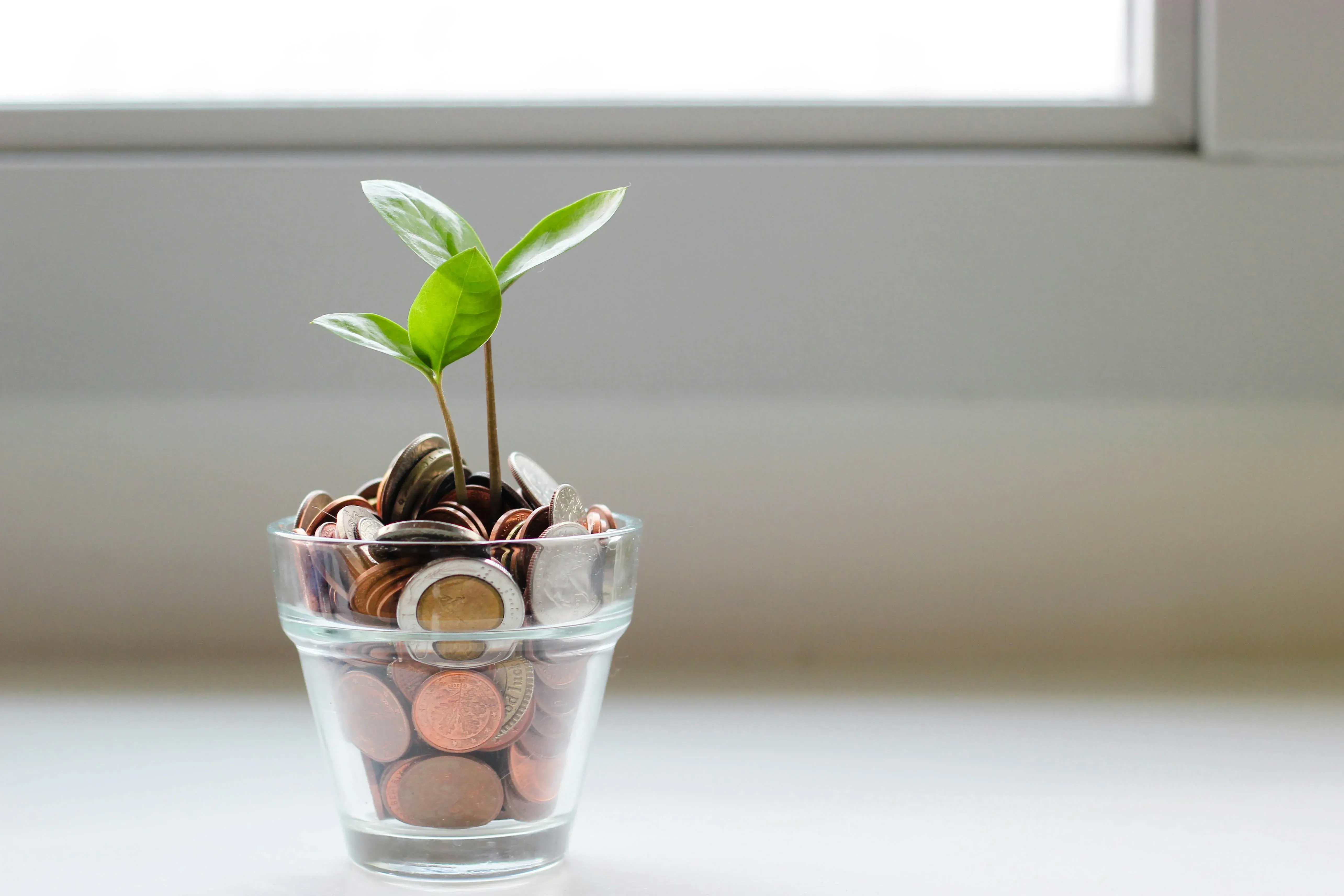 Aides financières pour l’enseignement supérieur : tout ce que les étudiants et parents doivent savoir