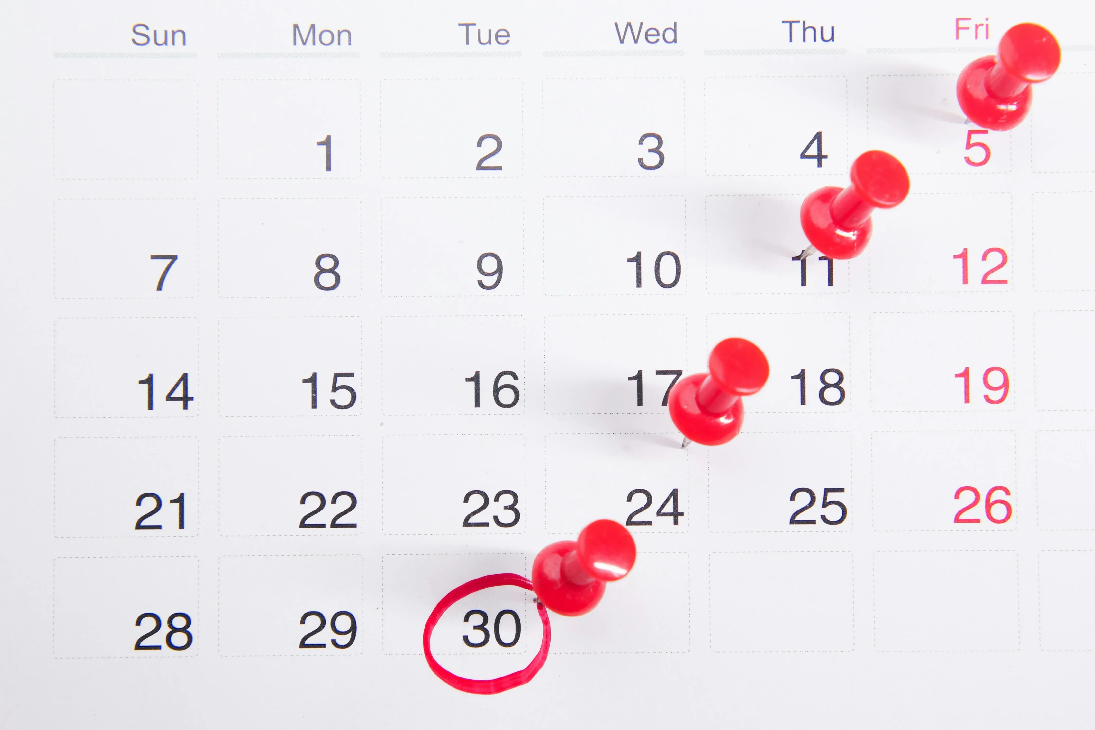 Dates Parcoursup 2026 : calendrier officiel, étapes clés et conseils